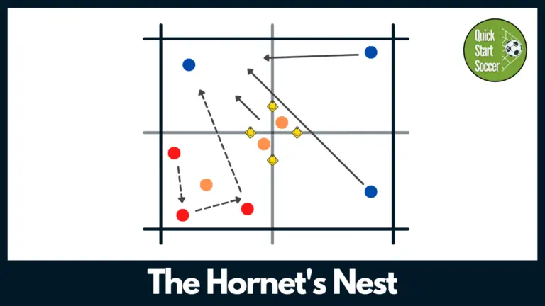 Hornet’s Nest